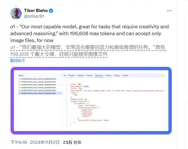 全面揭秘OpenAI o1模型：具备强大能力，能高效处理20万token