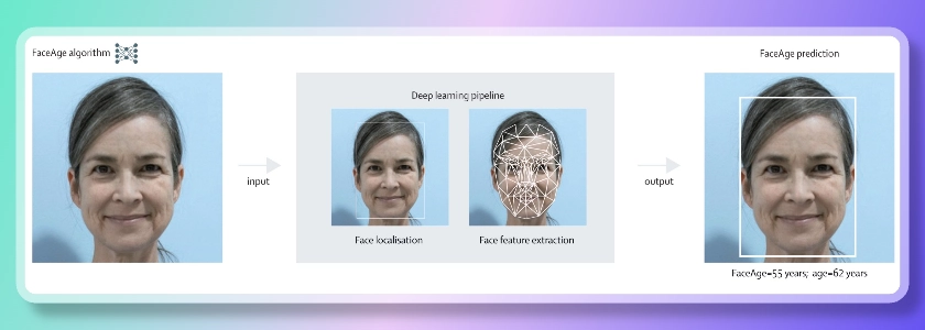 AI黑科技FaceAge来了！通过人脸照片预测生物年龄，癌症患者生存率预测更精准