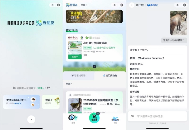 腾讯混元AI黑科技！手机秒变"自然翻译器"，一键识别万物物种